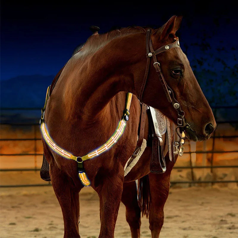 Erleuchten Sie Ihre Reitererfahrung: USB LED Pferdeleuchte als Brustplatte aus Nylon mit nachtsichtbarem Webbing – Perfekte Ausrüstung für Pferdesport und Rennen!